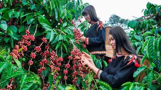 Thúc đẩy kinh tế tuần hoàn trong nông nghiệp