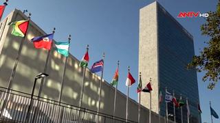 Liên hợp quốc sẽ bỏ phiếu về kế hoạch hòa bình cho Gaza của Mỹ 