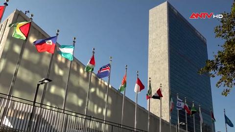 Liên hợp quốc sẽ bỏ phiếu về kế hoạch hòa bình cho Gaza của Mỹ