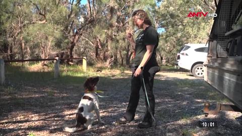 An ninh thế giới ngày 16/11/2025