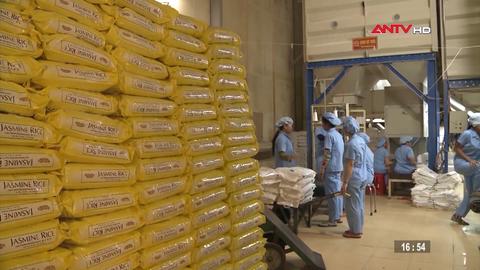 Kinh tế tiêu dùng ngày 16/11/2025