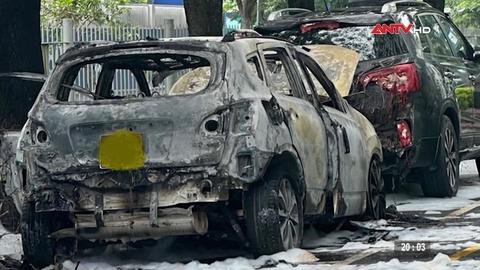 Tin nhanh lúc 20h ngày 16/11/2025