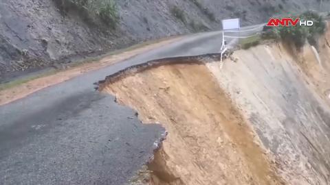 113 Online lúc 15h ngày 17/11/2025