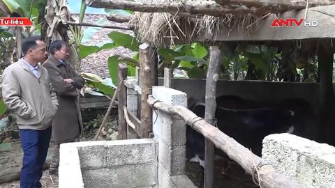 Chủ động ứng phó với rét đậm, rét hại và gió mạnh trên biển