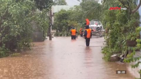 Tin nhanh lúc 9h ngày 20/11/2025