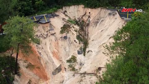 113 Online ngày 20/11/2025