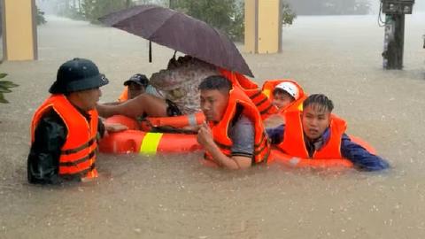 113 Online ngày 21/11/2025