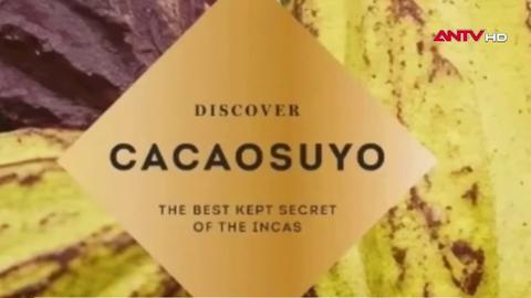 Peru thắng giải Sôcôla ngon nhất thế giới