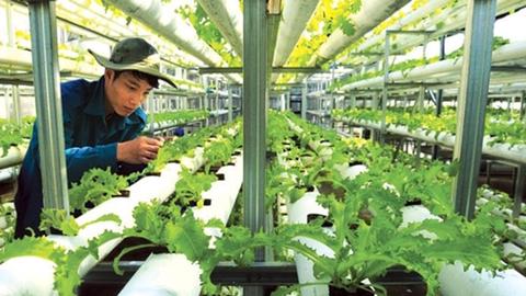 Thúc đẩy lĩnh vực nông nghiệp ứng dụng công nghệ cao