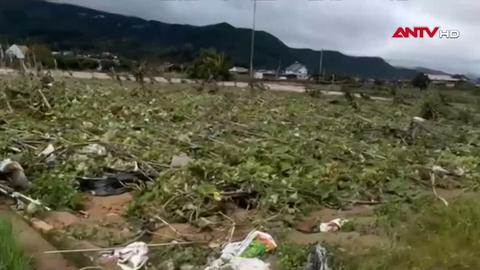 Lũ gây thiệt hại nặng vùng sản xuất rau ở Lâm Đồng