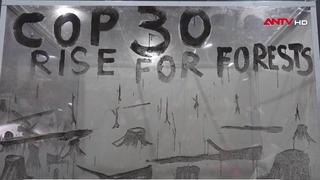 Tác phẩm từ tàn tro các đám cháy rừng