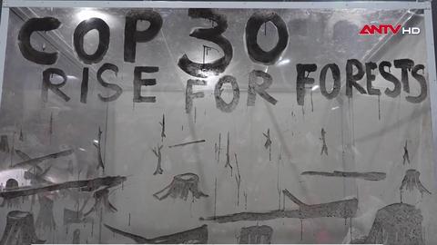 Tác phẩm từ tàn tro các đám cháy rừng