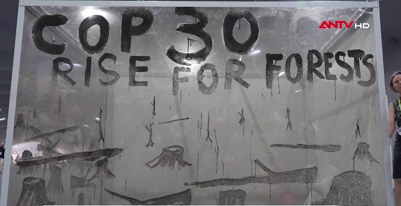 Tác phẩm từ tàn tro các đám cháy rừng Tác phẩm từ tàn tro các đám cháy rừng