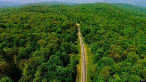 Iran kêu gọi hỗ trợ quốc tế cứu rừng cổ Hyrcanian - Di sản thế giới