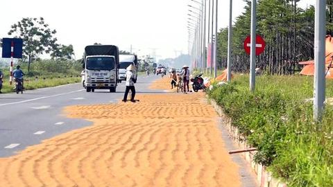 CẦN XỬ LÝ TRIỆT ĐỂ TÌNH TRẠNG PHƠI THÓC LÚA TRÊN ĐƯỜNG