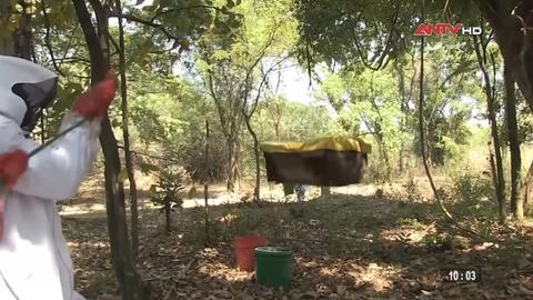 An ninh thế giới ngày 25/11/2025