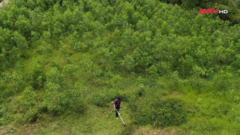 Đánh đổi giữa đời rừng