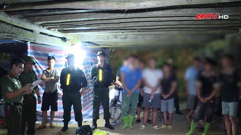 113 Online ngày 26/11/2025