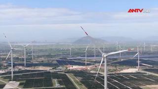 Bảo vệ môi trường vì mục tiêu phát triển bền vững đất nước