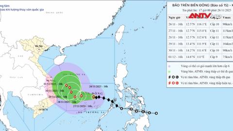 Cập nhật tin bão số 15