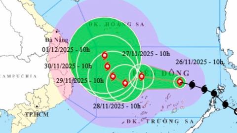 Chủ động phòng ngừa, ứng phó bão số 15 từ sớm, từ xa