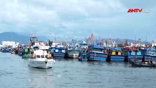 Khánh Hòa: Hơn 3.000 tàu thuyền vào neo đậu tránh trú bão số 15