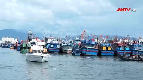 Khánh Hòa: Hơn 3.000 tàu thuyền vào neo đậu tránh trú bão số 15