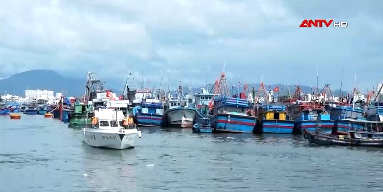 Khánh Hòa: Hơn 3.000 tàu thuyền vào neo đậu tránh trú bão số 15