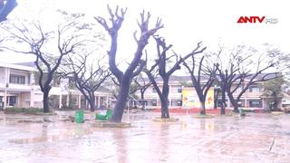 Gia Lai công bố tình huống khẩn cấp về thiên tai tại 77 xã, phường