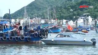 Các địa phương ứng phó với bão số 15 