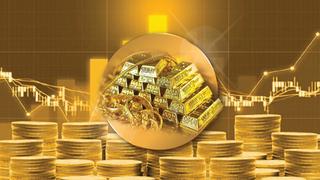 Tin tức nổi bật ngày 29/11