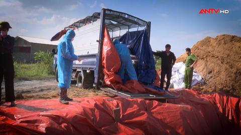 Nguy hiểm khôn lường từ thịt lợn nhiễm virus tả châu phi