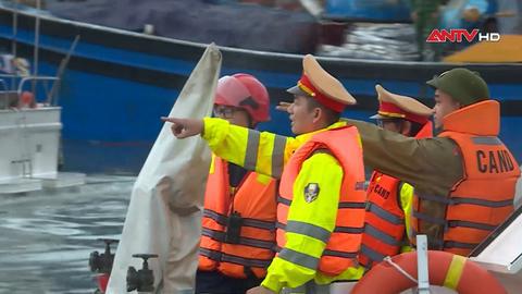 An ninh toàn cảnh ngày 29/11/2025