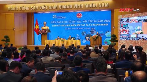 Diễn đàn kinh tế hợp tác, hợp tác xã năm 2025