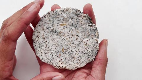 Da nhân tạo từ sợi nấm