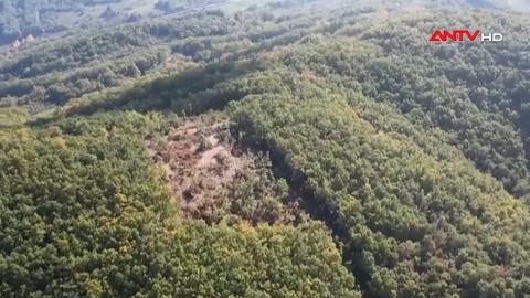 Sử dụng máy bay không người lái trong trồng rừng ở Kosovo