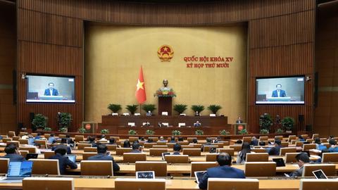 Quy định cụ thể nguyên tắc trong việc trồng rừng thay thế