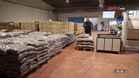  Biến lông cừu thừa thành phân bón hữu cơ tại Croatia