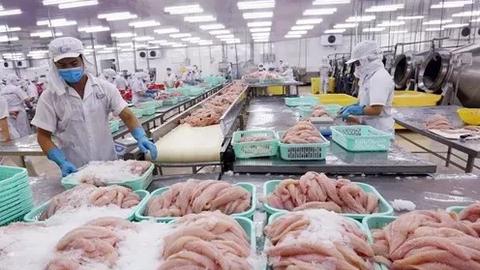 Xuất khẩu nông lâm thủy sản 11 tháng vượt kỷ lục năm 2024