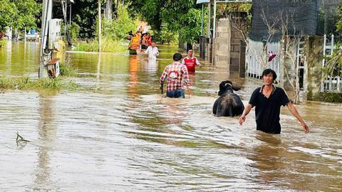 Lâm Đồng: Lũ lớn làm 1 người chết, gần 3.300 căn nhà bị ngập