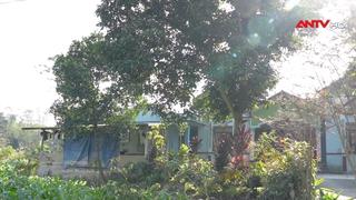 Đảm bảo tiến độ khởi công dự án đường sắt Lào Cai – Hà Nội – Hải Phòng