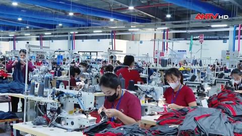 Tăng luồng xanh trong thông quan hàng hóa để hỗ trợ doanh nghiệp