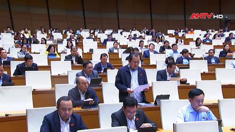 Rà soát các quy định về bảo vệ người tố cáo