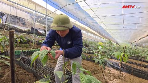 Cần chiến lược đồng bộ phát triển nguồn gen quý