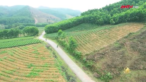 Người Công an cách mạng | Tập 35: Lời thề thiêng liêng