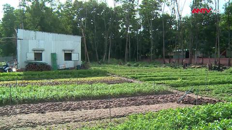 Cảnh báo mất an ninh trật tự từ việc cấp sổ đỏ chồng lấn