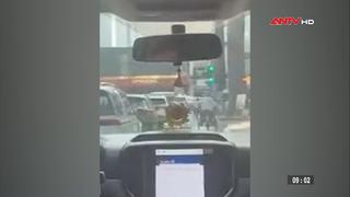 Công an mở đường đưa sản phụ đến bệnh viện an toàn