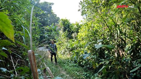 Từ đất mà xanh