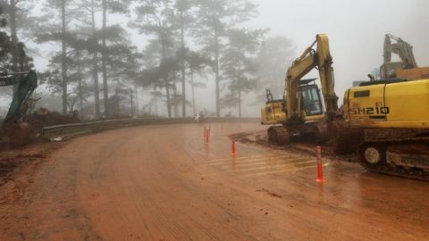 113 Online ngày 11/12/2025