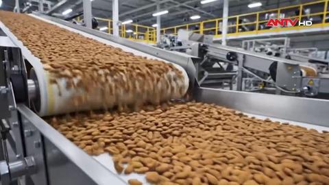 Nỗ lực phát triển nghề trồng hạnh nhân ở Pháp